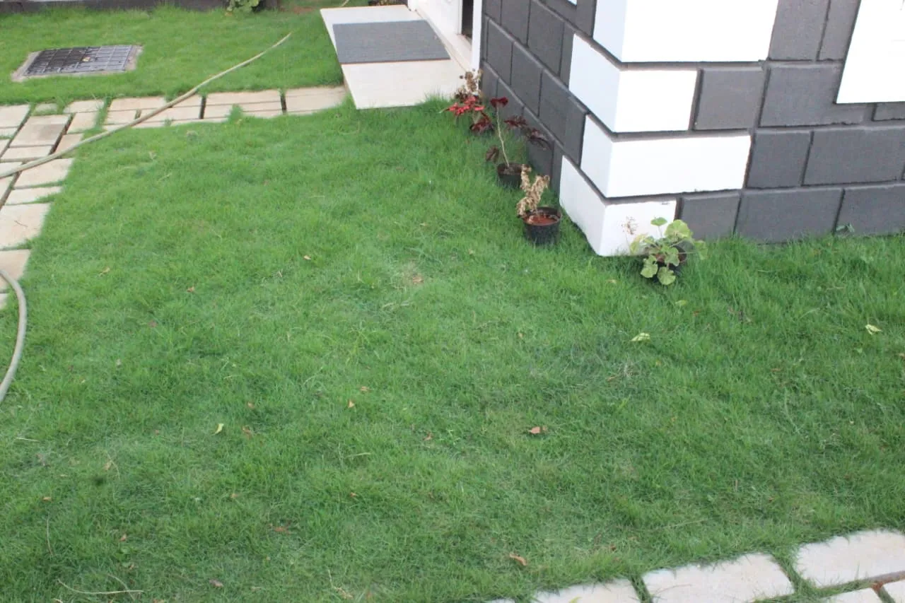 Commercial Site Foundation